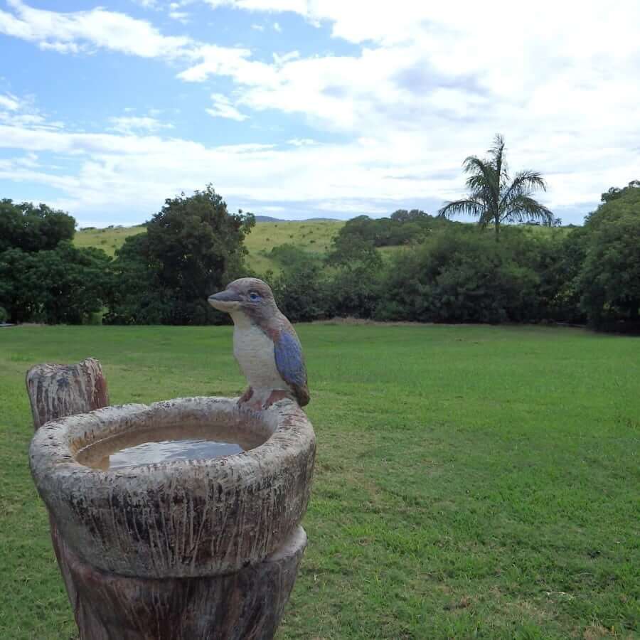 Clean A Cement Bird Bath - The Definitive Online Guide