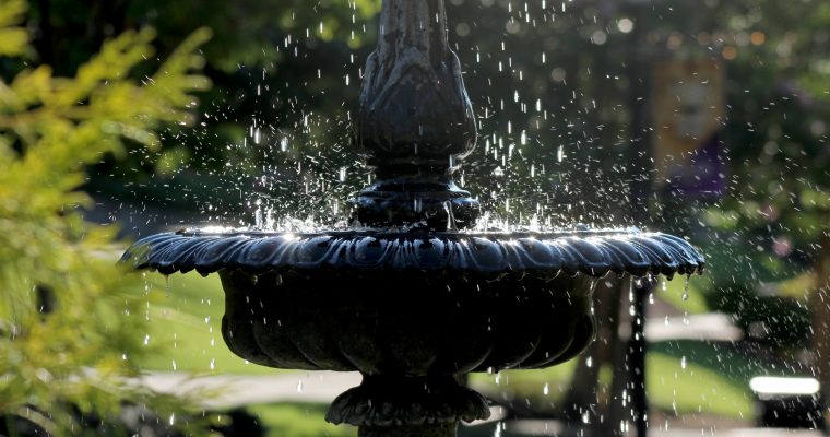 Water features and birdbaths – What is the difference?