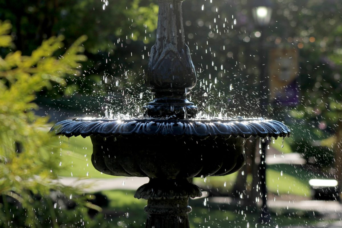 Water features and birdbaths – What is the difference?