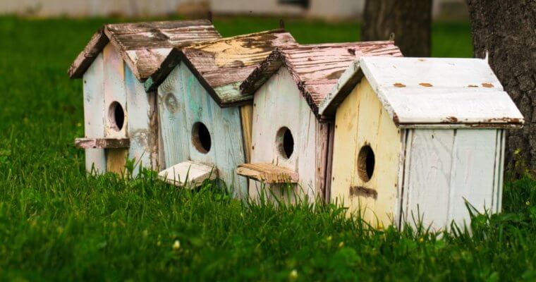 A Guide To The Best Bird House