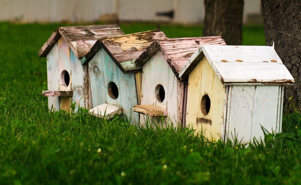 A Guide To The Best Bird House