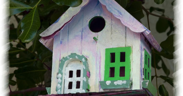 Easy Bird House Plans