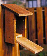 easy bird house plans